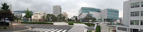 1609300913145441.jpg 11.jpg