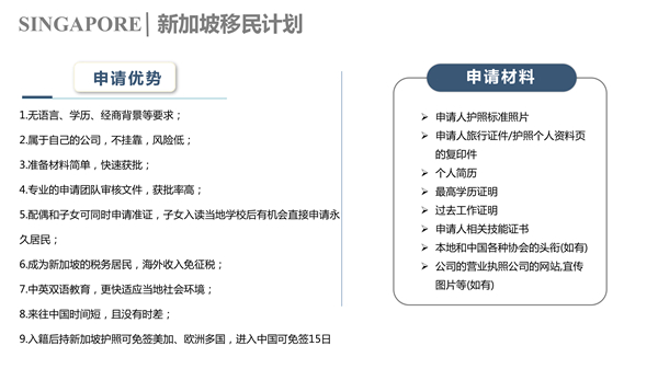 1609744877350697.jpg 新加坡自雇計(jì)劃P4.jpg