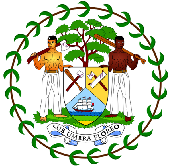 1609925142336275.png 4.png