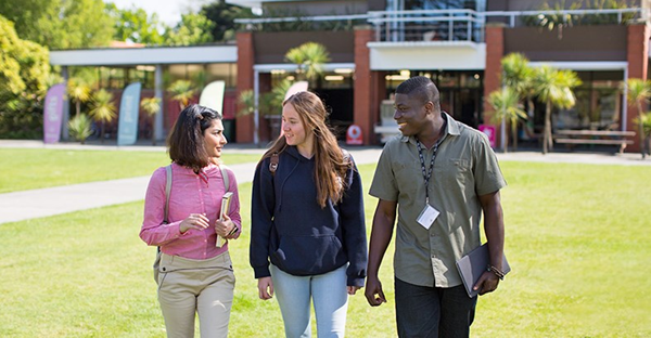 1611216339555603.png 3.png