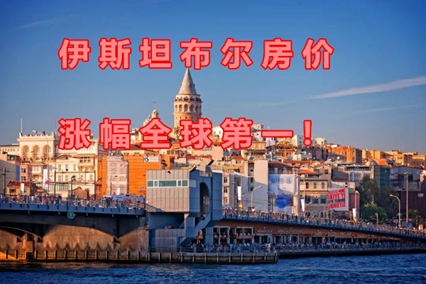 1615261955516353.jpg 1.jpg