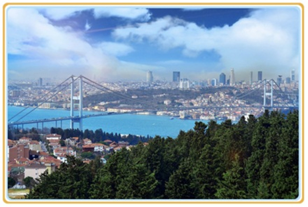 1615261975631477.jpg 2.jpg