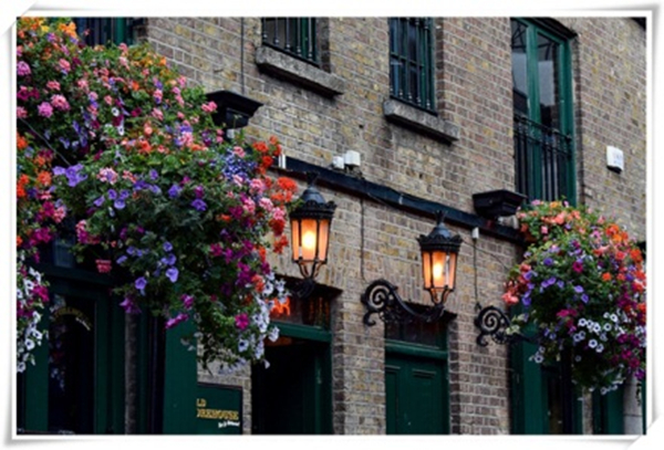 1615427021193823.jpg 4.jpg