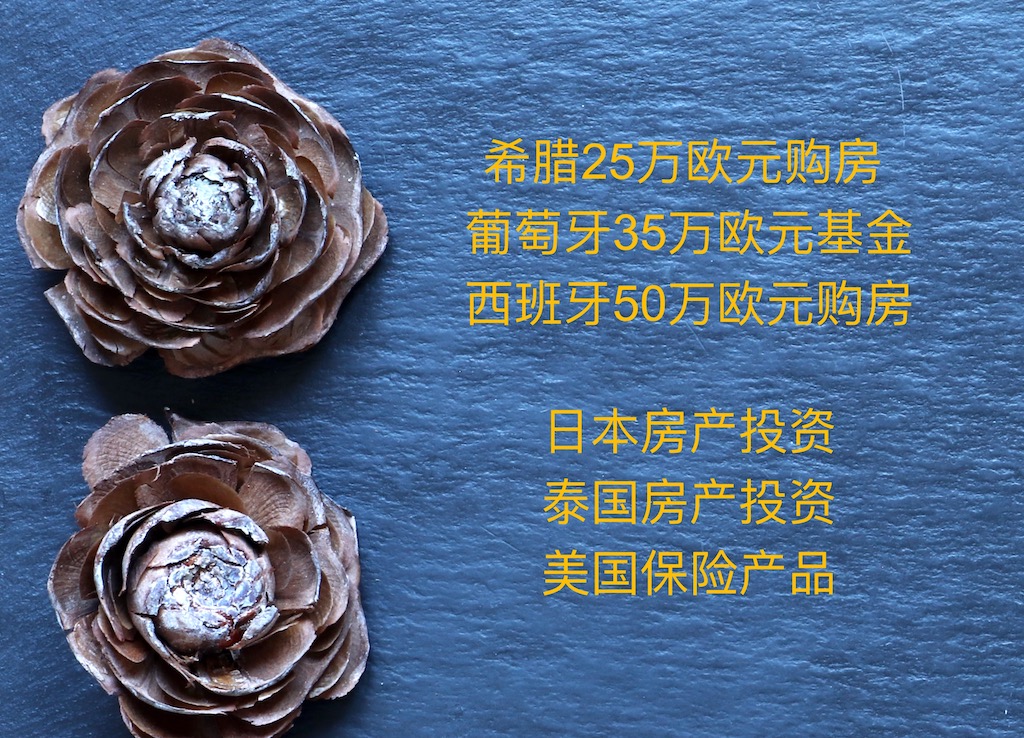 1616578442433706.jpg 1616578442433706.jpg