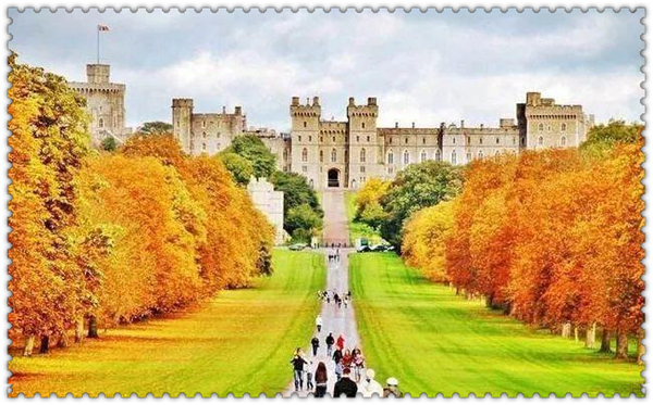 1619398879437766.jpg 3.jpg