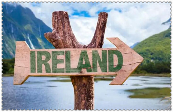 1619487871926436.jpg 2.jpg