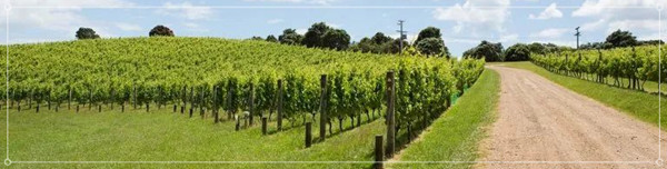 1619672179331740.jpg 1.jpg