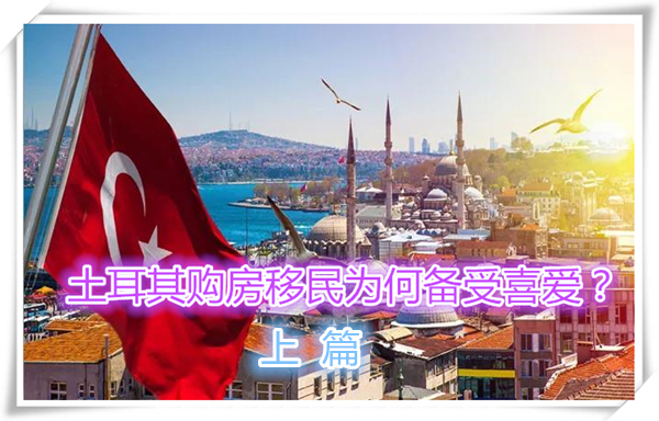 1620783350798366.jpg 1.jpg