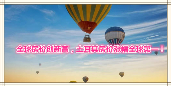 1626397719842313.jpg 1.jpg