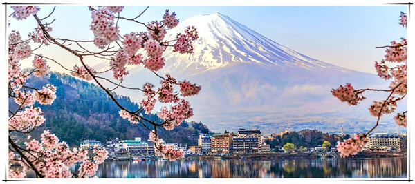 1628816654699804.jpg 3.jpg