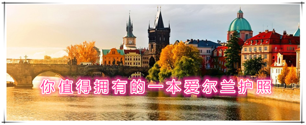 1630026810161022.jpg 1.jpg